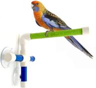 hypeety portable suction cup bird window and shower perch toy 🐦 for parrots, macaws, cockatoos, african greys, budgies, and parakeets – bath perch toy logo