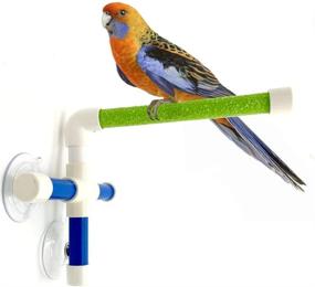 img 4 attached to Hypeety Portable Suction Cup Bird Window and Shower Perch Toy 🐦 for Parrots, Macaws, Cockatoos, African Greys, Budgies, and Parakeets – Bath Perch Toy