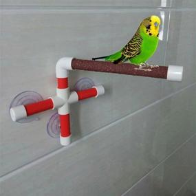 img 2 attached to Hypeety Portable Suction Cup Bird Window and Shower Perch Toy 🐦 for Parrots, Macaws, Cockatoos, African Greys, Budgies, and Parakeets – Bath Perch Toy