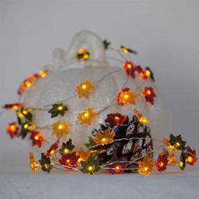 img 2 attached to Impress Life 10ft 40LED Maple Leaf Fairy Lights: Battery Operated with Remote, Perfect for Thanksgiving Harvest Festival, Porch Bedroom and Seasonal Decor