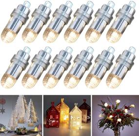 img 2 attached to 🔆 Acme Waterproof LED Mini Lights: Non-Blinking, Ideal for Brightening Paper Lanterns, Balloons, or Vases at Birthday Parties or Wedding Decorations - Warm White, 24-Pack