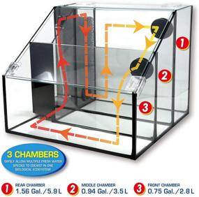 img 2 attached to Penn-Plax Triad AquaTerrium Fish Tank (REPTT7) – 3 Chambers, 1 Biological Ecosystem – Aquaponic, Refugium, and Freshwater Aquarium Setups – 3.25 Gallons, Clear Glass