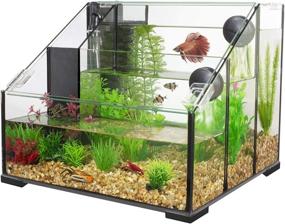 img 3 attached to Penn-Plax Triad AquaTerrium Fish Tank (REPTT7) – 3 Chambers, 1 Biological Ecosystem – Aquaponic, Refugium, and Freshwater Aquarium Setups – 3.25 Gallons, Clear Glass