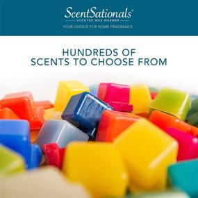 img 2 attached to 🕯️ Scentsationals Scented Wax Fragrance Melts - Magic Spell - Wax Cubes Pack, Home Warmer Tart, Electric Wickless Candle Bar Air Freshener, Spa Aroma Decor Gift - 2.5 oz (4-Pack): Indulge in Enchanting Scents and Sensational Aromas!