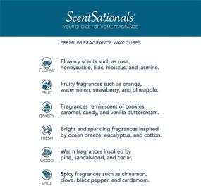 img 3 attached to 🕯️ Scentsationals Scented Wax Fragrance Melts - Magic Spell - Wax Cubes Pack, Home Warmer Tart, Electric Wickless Candle Bar Air Freshener, Spa Aroma Decor Gift - 2.5 oz (4-Pack): Indulge in Enchanting Scents and Sensational Aromas!