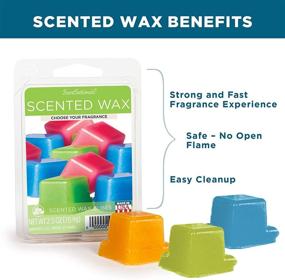 img 1 attached to 🕯️ Scentsationals Scented Wax Fragrance Melts - Magic Spell - Wax Cubes Pack, Home Warmer Tart, Electric Wickless Candle Bar Air Freshener, Spa Aroma Decor Gift - 2.5 oz (4-Pack): Indulge in Enchanting Scents and Sensational Aromas!