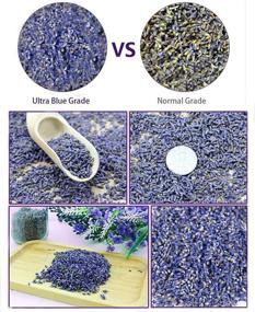 img 2 attached to 🌸 Wholesale Fragrant Lavender Buds - 2 Pound Ultra Blue Grade Dried Flowers by TooGet