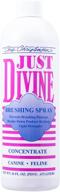 chris christensen divine brushing concentrate logo