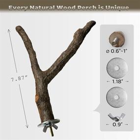 img 3 attached to 🐦 HEEKAME 2 Pack Bird Perch - Natural Wood Fork Stand Perch with Swing Toy - Stainless Steel Washers Included (0.6-1inch)