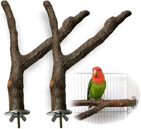 img 4 attached to 🐦 HEEKAME 2 Pack Bird Perch - Natural Wood Fork Stand Perch with Swing Toy - Stainless Steel Washers Included (0.6-1inch)