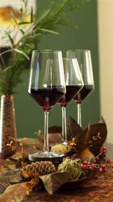 img 1 attached to 🍷 Zwiesel Glas Tritan Pure Stemware Collection - Set of 4 Burgundy Red Wine Glasses