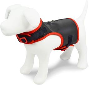 img 1 attached to 🐾 Enhanced Visibility Adjustable Comfort Harness for Canines by MARTHA STEWART