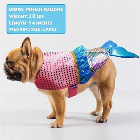 img 2 attached to 🐶 Cyeollo Mermaid Dog Costume: Sequin Mermaid Clothes for Medium Dogs | Pet Cosplay Dress for Party & Play - Size L