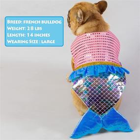 img 1 attached to 🐶 Cyeollo Mermaid Dog Costume: Sequin Mermaid Clothes for Medium Dogs | Pet Cosplay Dress for Party & Play - Size L