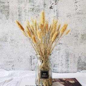 img 1 attached to 🌾 100 Stems of Natural Dried Wheat Sheaves: Perfect for Autumn Arrangements and DIY Home Decor, 17 Inch Length