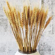 🌾 100 stems of natural dried wheat sheaves: perfect for autumn arrangements and diy home decor, 17 inch length logo