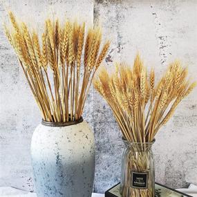 img 2 attached to 🌾 100 Stems of Natural Dried Wheat Sheaves: Perfect for Autumn Arrangements and DIY Home Decor, 17 Inch Length