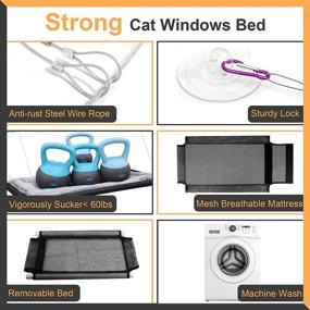 img 2 attached to 🐱 DEMOCRATIDO 4PCS Cat Perch Window Set - Cat Hammock Window Seat with 4 Suction Cups, Adjustable Cat Collar with Bell, and Cat Teaser Toy - Perfect for Outdoor and Indoor Use