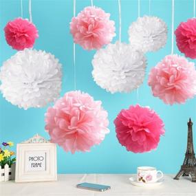 img 1 attached to 🌸 Premium White Tissue Pom-poms: 10pcs Hanging Paper Flower Balls for Wedding Party Outdoor Decorations, Craft Kit Included