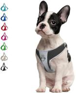 🐾 reflective adjustable basic nylon step-in puppy vest harness for x-small, small, and medium breed dogs - outdoor walking twoear dog harness logo