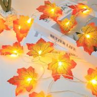 🍁 enhance your fall ambience with 19.6ft waterproof maple leaf string lights - battery-powered, led fall decor garland for indoor & outdoor thanksgiving and christmas decorations! логотип