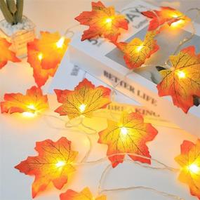 img 4 attached to 🍁 Enhance Your Fall Ambience with 19.6Ft Waterproof Maple Leaf String Lights - Battery-Powered, LED Fall Decor Garland for Indoor & Outdoor Thanksgiving and Christmas Decorations!