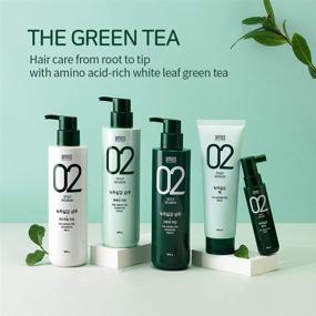 img 2 attached to 🍃 AMOS PROFESSIONAL The Green Tea Shampoo [Fresh - For Oily Scalp] 17.6oz (500g): Anti-Thinning & Hair Loss Shampoo for Hair Growth and Cleanse Excess Sebum – Korean Hair Salon Brand