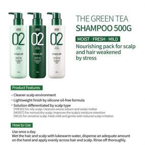 img 3 attached to 🍃 AMOS PROFESSIONAL The Green Tea Shampoo [Fresh - For Oily Scalp] 17.6oz (500g): Anti-Thinning & Hair Loss Shampoo for Hair Growth and Cleanse Excess Sebum – Korean Hair Salon Brand