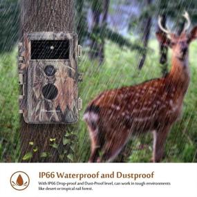 img 2 attached to 📸 High Resolution Game Trail Deer Camera: HD 1296P Video, Night Vision, Motion Sensor Activated, IP66 Waterproof & Password Protected – Ideal for Hunters & Wildlife Observers