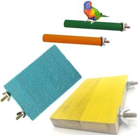 img 4 attached to 🦜 Colorful Bird Perch Stand Toy Set with Paw Grinding Stick and Wooden Platform - Ideal for Parakeets, Cockatiels, and Small Parrots