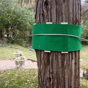 img 2 attached to 🌳 Protect Your Trees in Style with Tree Huggerz Tree Protector Kit, Green