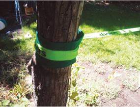 img 1 attached to 🌳 Protect Your Trees in Style with Tree Huggerz Tree Protector Kit, Green