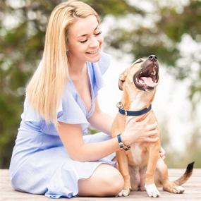 img 1 attached to FriendshipCollar: The Classic Pup - Water & Scratch Resistant Dog or Cat Collar and Bracelet Set