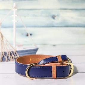 img 2 attached to FriendshipCollar: The Classic Pup - Water & Scratch Resistant Dog or Cat Collar and Bracelet Set