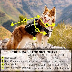 img 2 attached to 🐾 Bum's Pack Dog Saddle Bag: Ultimate Dog Hiking Backpack with Camping Accessories - Harness Backpack for Medium, Large & X-Large Dogs, 2021 Edition!