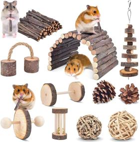 img 4 attached to 🐹 ERKOON 11-Pack Hamster Chew Toys | Small Animal Activity Toy Kit | Natural Apple Wood Ladder, Bell Roller, Teeth Molar Care | Ideal for Dwarf Hamsters, Rats, Guinea Pigs, Chinchillas, Gerbils, Bunnies