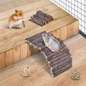 img 1 attached to 🐹 ERKOON 11-Pack Hamster Chew Toys | Small Animal Activity Toy Kit | Natural Apple Wood Ladder, Bell Roller, Teeth Molar Care | Ideal for Dwarf Hamsters, Rats, Guinea Pigs, Chinchillas, Gerbils, Bunnies
