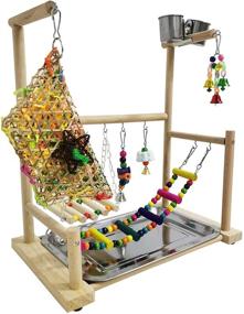 img 3 attached to 🐦 Enhance Your Parrot's Playtime with the kathson Parrot Playstand Bird Playground: An All-in-One Wood Perch Gym, Playpen, and Toy Haven for Conures, Cockatoos, Parakeets, Lovebirds, and More!