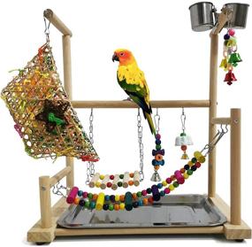 img 4 attached to 🐦 Enhance Your Parrot's Playtime with the kathson Parrot Playstand Bird Playground: An All-in-One Wood Perch Gym, Playpen, and Toy Haven for Conures, Cockatoos, Parakeets, Lovebirds, and More!