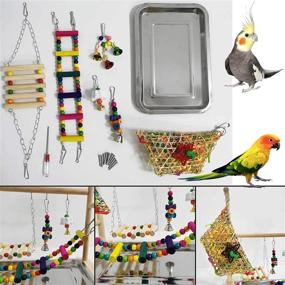img 1 attached to 🐦 Enhance Your Parrot's Playtime with the kathson Parrot Playstand Bird Playground: An All-in-One Wood Perch Gym, Playpen, and Toy Haven for Conures, Cockatoos, Parakeets, Lovebirds, and More!