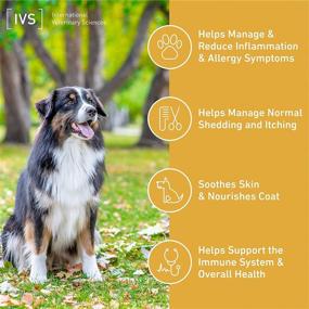 img 2 attached to 🐶 Lipiderm Skin and Coat Fish Oil Supplement for Dogs - IVS Omega 3 & 6 - Made in USA