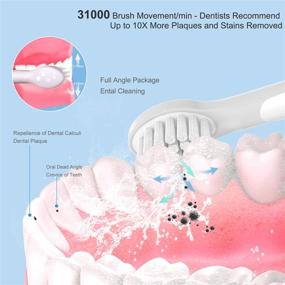 img 2 attached to Rechargeable Sonic Electric Toothbrush for Kids, Ages 3-12, Safest Material, Lower Noise, Dentists Recommended, Cartoon Sticker, 25 Days Duration, Wireless Charging, IPX7 Waterproof