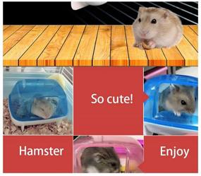 img 1 attached to 🐹 JSM 2-Piece Small Animals Bath Set, Sand Container for Dwarf Hamster/Mouse/Chinchilla/Rat/Gerbil