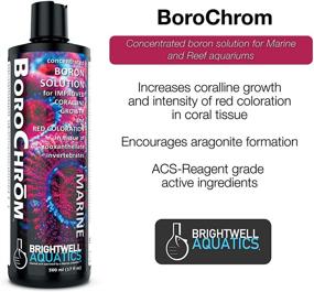 img 1 attached to Brightwell Aquatics ABABCM250 Borochrom Conditioners