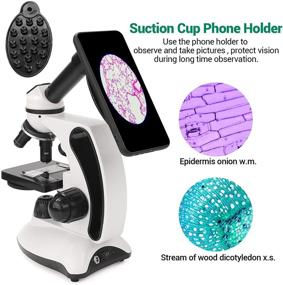 img 2 attached to 🔬 BNISE Microscope: 40X-2000X Magnification, Compound Monocular Microscope for Adults and Kids - Beginner's Kit with Prepared Slides, Dual LED Illumination, All Glass Optics, and Phone Adapter