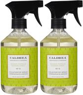 🍊 caldrea ginger pomelo countertop cleanser - 16 oz, pack of 2 logo