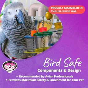 img 2 attached to 🐦 Super Bird Creations SB634: Clear Acrylic Cups 4 Way Forager Bird Toy (Medium to Large)