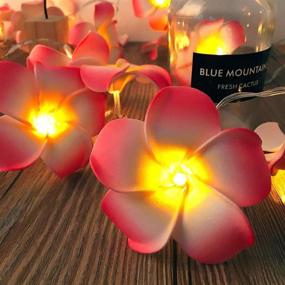 img 2 attached to 🌺 AceList 2 Sets Pink Flowers Frangipani 20 LED String Lights: Stunning Hawaiian Foam Artificial Plumeria Flowers - Battery Powered Fairy Starry Lights for Wedding Beach Party