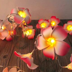 img 3 attached to 🌺 AceList 2 Sets Pink Flowers Frangipani 20 LED String Lights: Stunning Hawaiian Foam Artificial Plumeria Flowers - Battery Powered Fairy Starry Lights for Wedding Beach Party