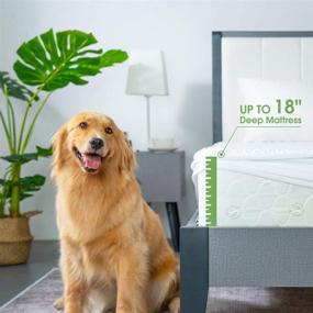 img 2 attached to 🛏️ Reaks King Size Bed Waterproof Fitted Mattress Protector: Stay Cool with Deep Pocket Up to 18'' - Cooling Mattress Pad Cover
